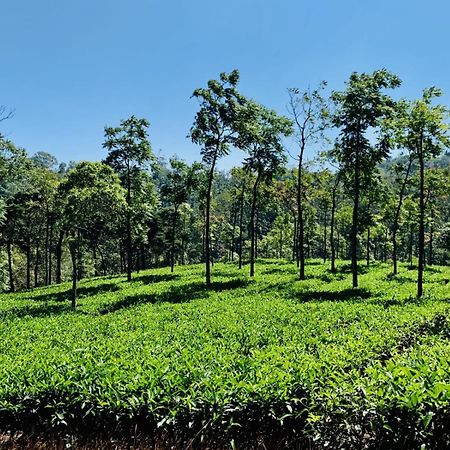 Cassells Jungle Resorts Thekkady Vandiperiyār Exterior foto