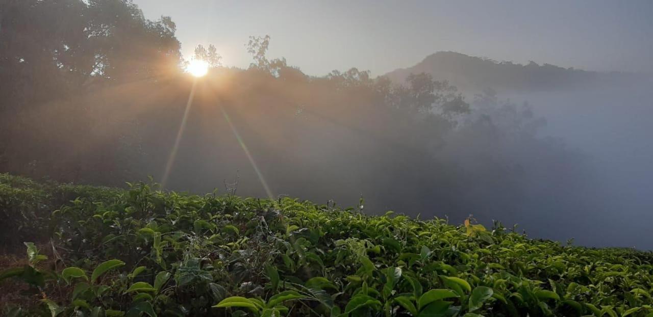 Cassells Jungle Resorts Thekkady Vandiperiyār Exterior foto