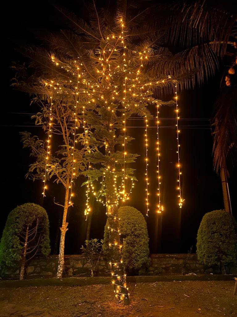 Cassells Jungle Resorts Thekkady Vandiperiyār Exterior foto