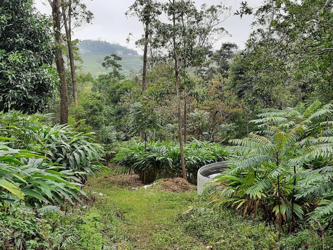Cassells Jungle Resorts Thekkady Vandiperiyār Exterior foto