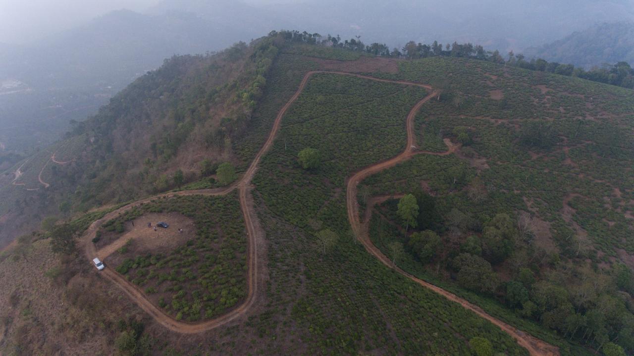 Cassells Jungle Resorts Thekkady Vandiperiyār Exterior foto