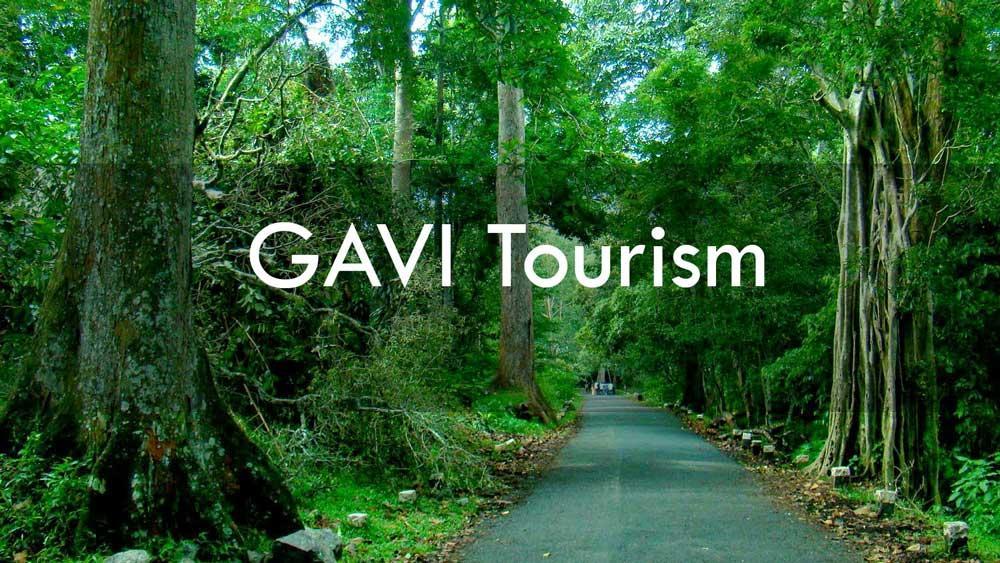 Cassells Jungle Resorts Thekkady Vandiperiyār Exterior foto
